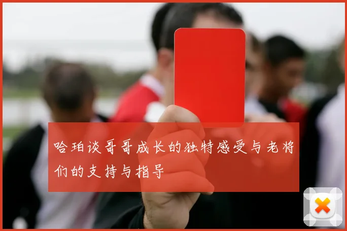 哈珀谈哥哥成长的独特感受与老将们的支持与指导